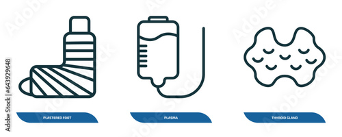 set of 3 linear icons from medical concept. outline icons such as plastered foot, plasma, thyroid gland vector
