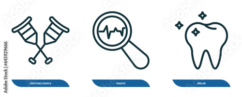 set of 3 linear icons from medical concept. outline icons such as crutches couple, diagtic, molar vector
