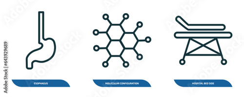 set of 3 linear icons from medical concept. outline icons such as esophagus, molecular configuration, hospital bed side view vector