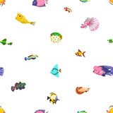 Seamless tropical sea pattern, cute funny fishes. Marine underwater background. Multicolored aquarium species, endless texture design. Ocean fauna, repeating print. Colored flat vector illustration
