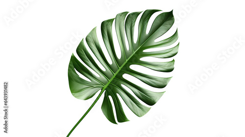 Green tropical leaf on transparent background. Generative ai design png concept.