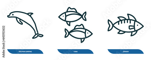 set of 3 linear icons from animals concept. outline icons such as dolphin jumping, tuna, zander vector
