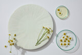 Round-shaped dish arranged with few petri dishes containing liquid and Chamomilla flowers. Blank space on the dish for products or goods presentation
