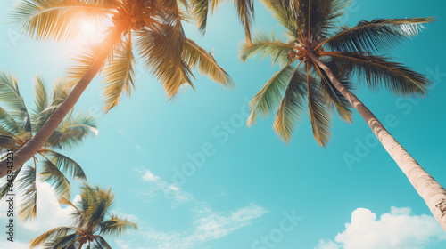 Blue sky and palm trees © Mishi