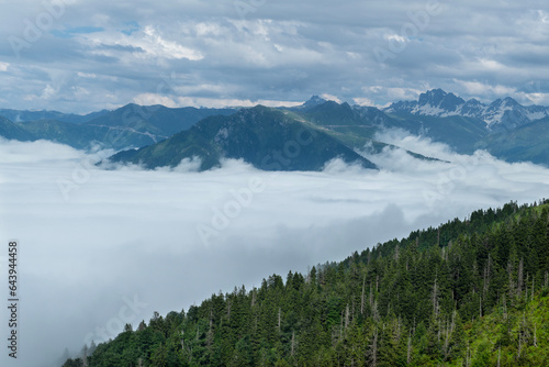 Foggy mountain landscape. Foggy and cloud-covered mountains. Foggy valleys. Foggy forest landscape. Black Sea mountains.Pokut Plateau. Kaçkar mountains. Rize, Türkiye.