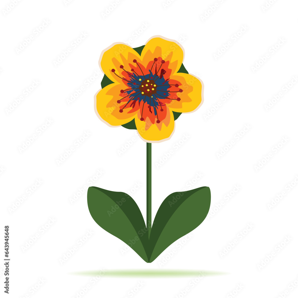 Beautiful yellow orange flower isolated on white, vector illustration