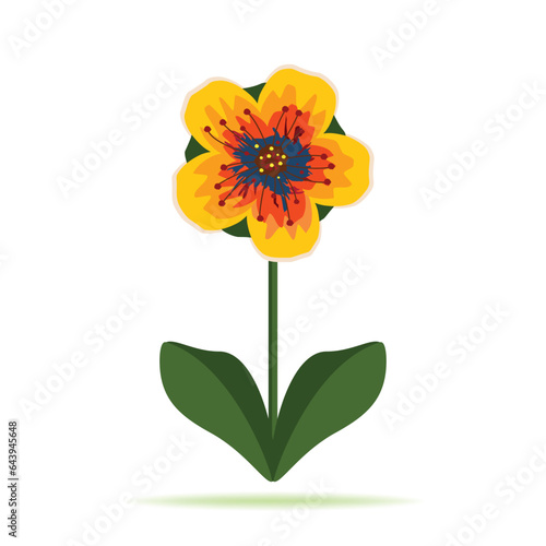 Beautiful yellow orange flower isolated on white  vector illustration