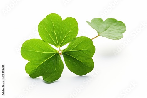 a clover leaf isolated against a white background