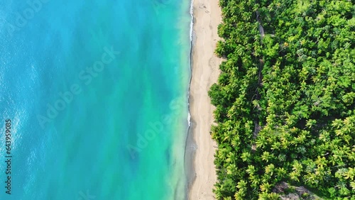 Wallpaper Mural Green palm trees on the white sandy beach of Saona Island, Dominican Republic. Landscape of bright nature of paradise island. Summer vacation background. Top view of a tropical beach in Punta Cana. Torontodigital.ca