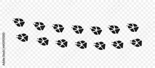 Footpath trail of animal. Fox paws. Fox paws walking randomly print vector isolated on white background.