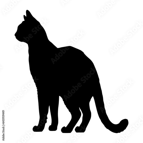 Black cat silhouette, Cute cartoon black cat © Natworanat