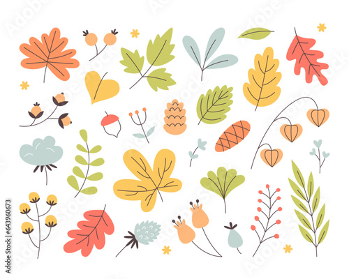 Autumn leaves foliage, pine cones and berries decoration isolated natural set vector illustration