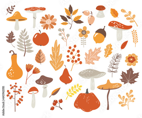 Botanical autumn elements isolated set with vegetables, fruits, leaves, flowers, berries, mushroom