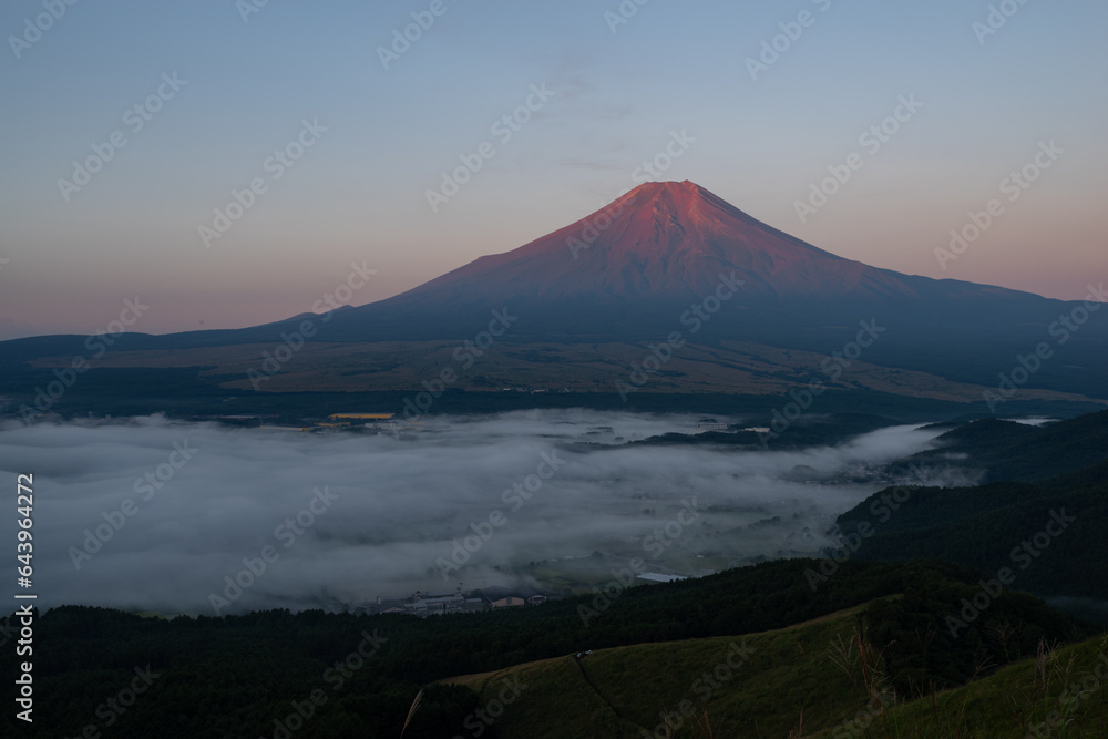 朝陽を浴びて赤く染まる富士山と雲海
