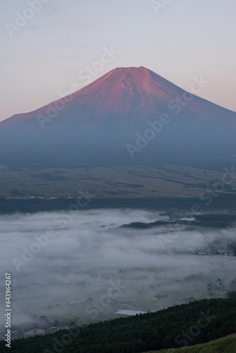 朝陽を浴びて赤く染まる富士山と雲海 © rai