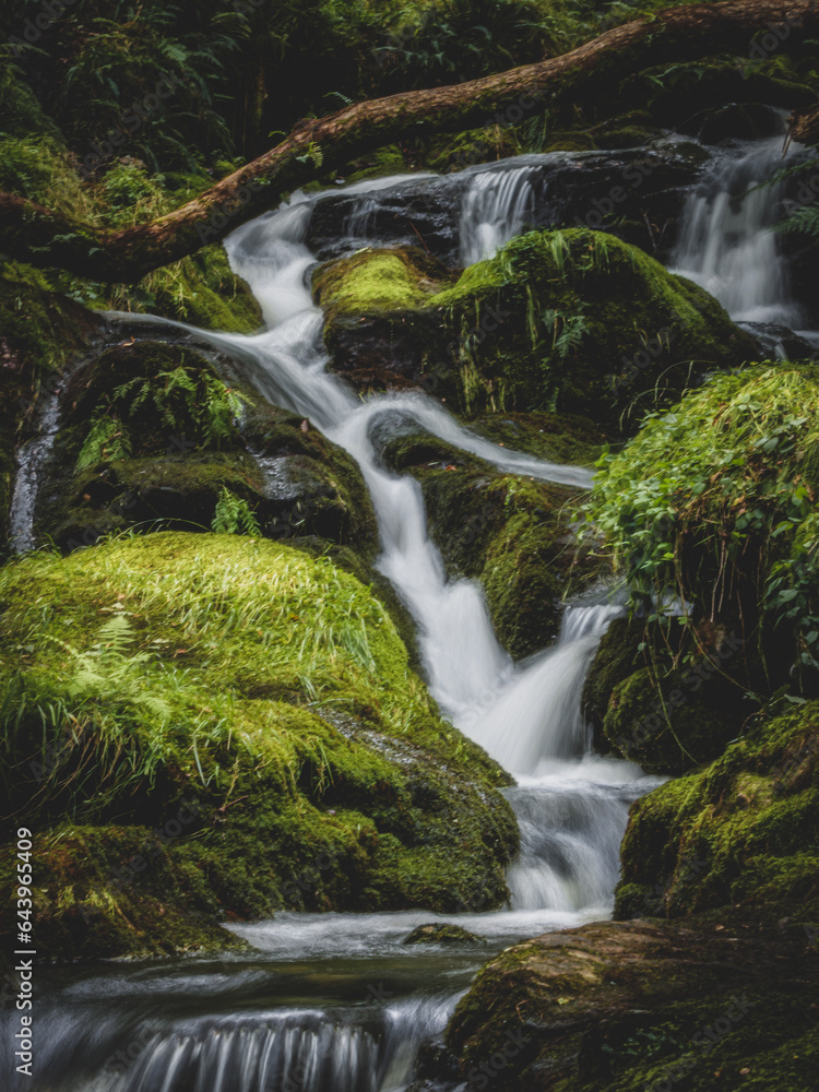 Fototapeta premium Venford Rapids