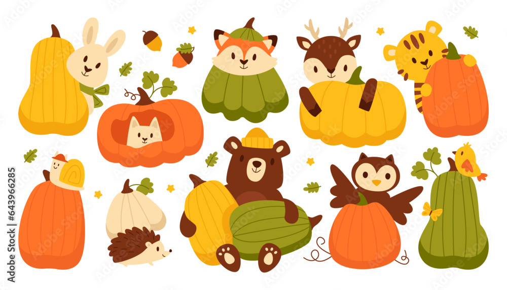 Fototapeta premium Animal character holding ripe pumpkin autumn thanksgiving holiday vegetable set vector illustration