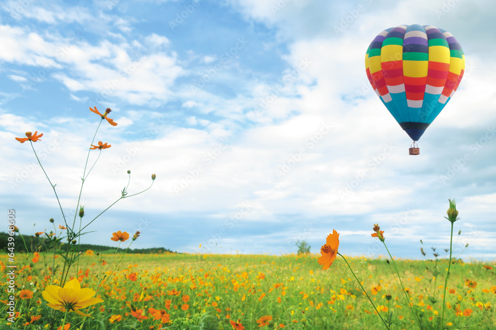 Naklejka premium Selective focus at side of outdoor yellow flower park with hot balloon flying