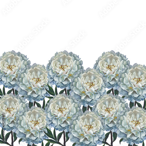 A bouquet of white peony flowers. Isolated on a blue background.