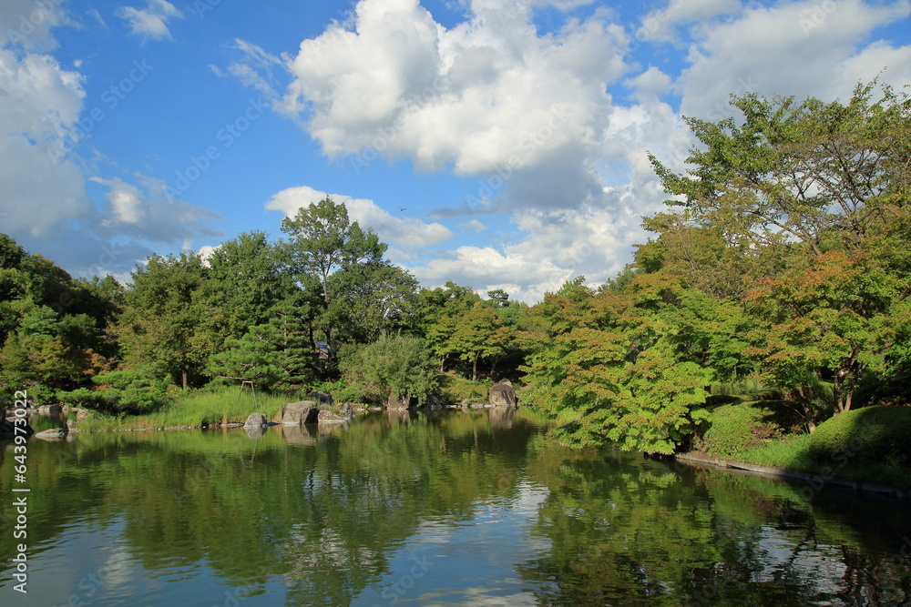 夏の公園の風景