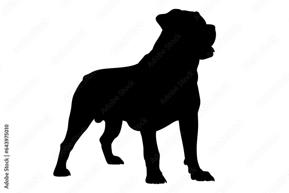 Rottweiler dog silhouette. Vector illustration