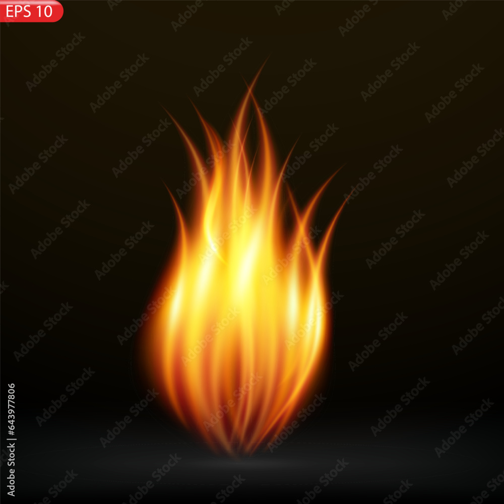 Fire flames isolated on transparent background. Vector realistic special effect Fire flames isolated on transparent background. Vector realistic special effect