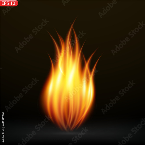Fire flames isolated on transparent background. Vector realistic special effect 