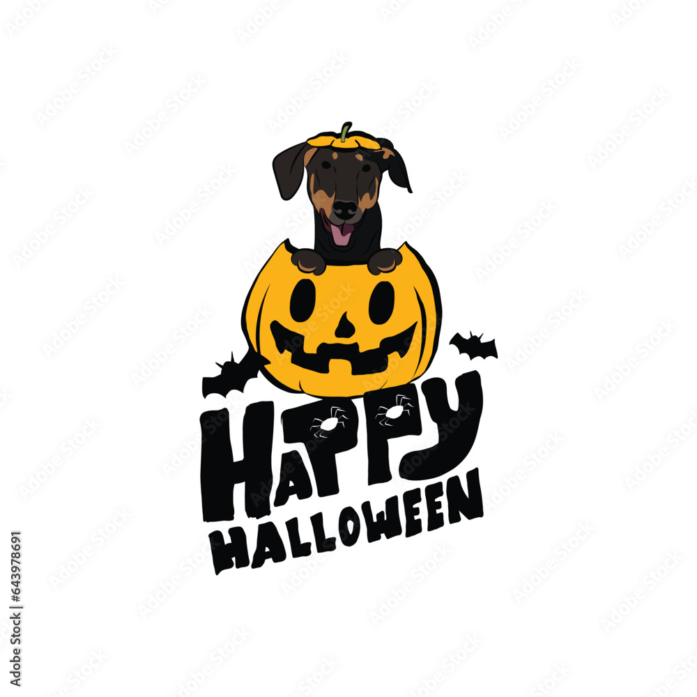 Fototapeta premium Happy Halloween postcard with Doberman dog peeking out from the pumpkin. Dog head in pumpkin with paws. October hand-drawn calligraphy with halloween funny icons. Festive Creative Halloween Art Work.