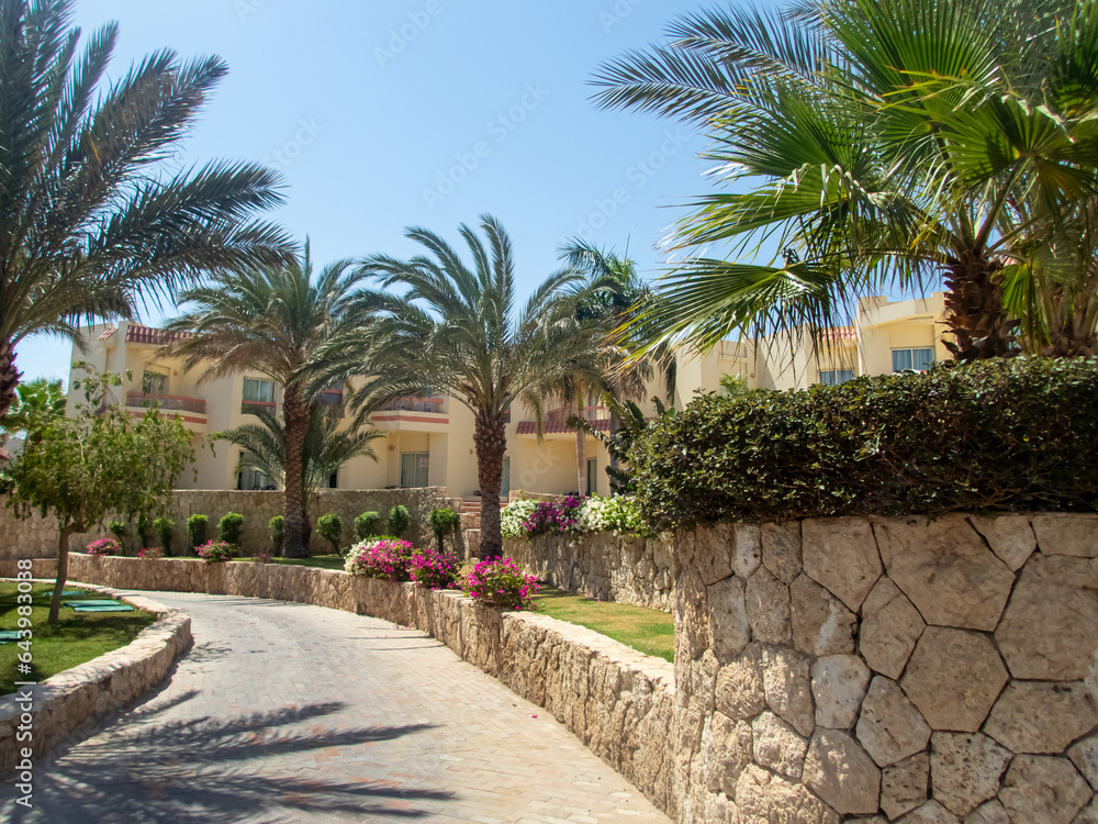 Beautiful view of the Egyptian hotel with palm trees, flowers and a swimming pool Beautiful view of the Egyptian hotel with palm trees, flowers and a swimming pool