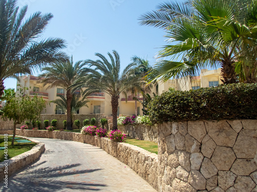 Beautiful view of the Egyptian hotel with palm trees, flowers and a swimming pool