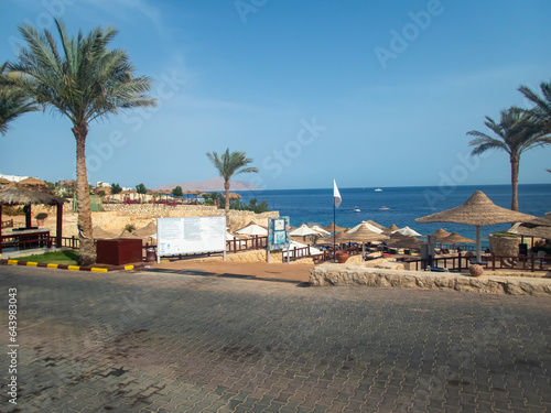 Beautiful view of the Egyptian hotel with palm trees  flowers and a swimming pool