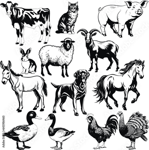 Farm animals set  Farm animal icon  Vector Illustration  SVG