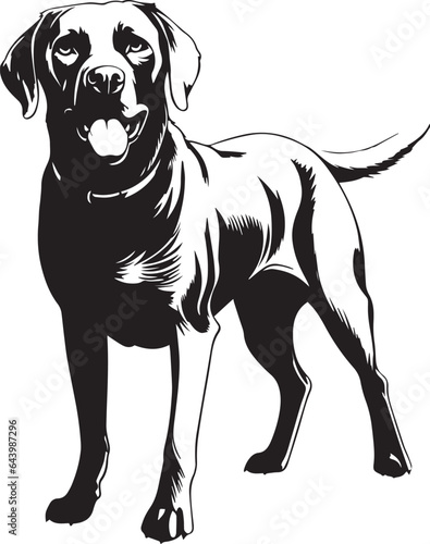 Labrador full length  Farm Dog  Vector Illustration  SVG