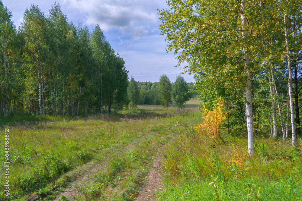 Autumn landscape green meadow and forest in the background against the backdrop of a beautiful blue sky and white clouds. Autumn landscape green meadow and forest in the background against the backdrop of a beautiful blue sky and white clouds.