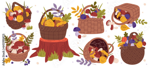 Autumn wicker baskets with mushrooms harvest and fall leaves decoration vector illustration