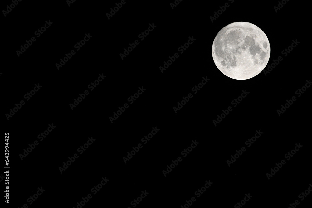 Fototapeta premium moon in the black sky. moon with a black sky background