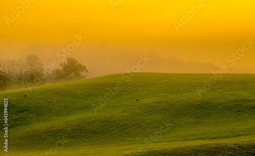 morning in the field © Normunds Bartkevics