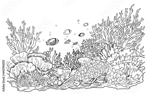 Underwater world coloring page. Coloring page life in the ocean with algae