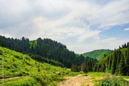Beautiful mountain landscape in summer photo