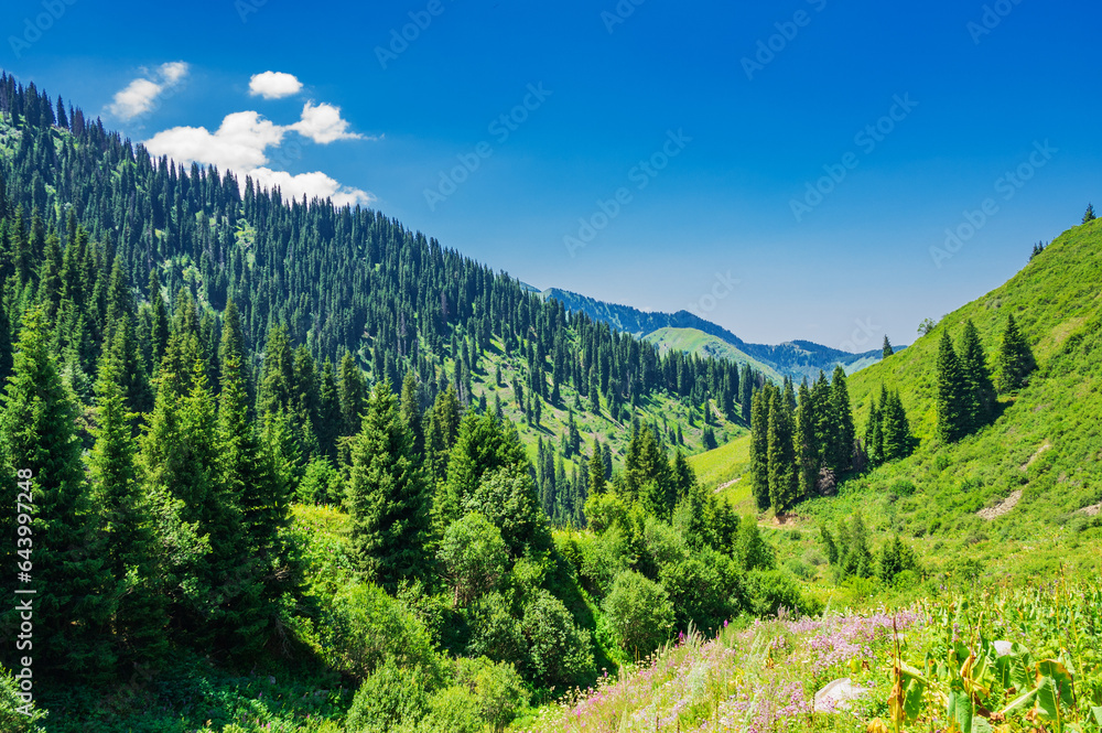 Beautiful mountain landscape in summer