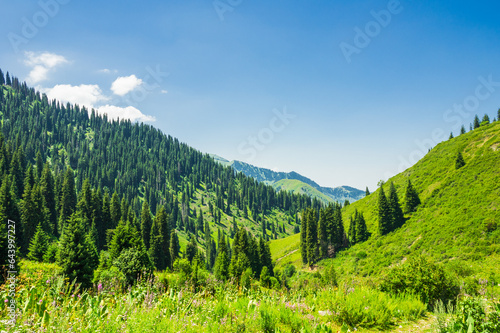 Beautiful mountain landscape in summer