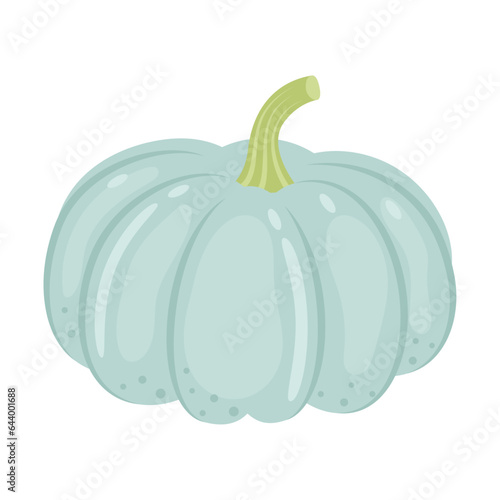 Jarrahdale pumpkin whole vegetable isolated on white background. Cucurbita maxima. Winter Squash. Australian heirloom pumpkin icon. Vector illustration of vegetables in flat style.