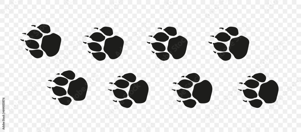 Fototapeta premium Tiger or lion paw footprint way. Lion paws walking randomly print vector isolated on white background. Vector animal steps in black color.