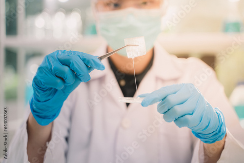 Asians scientist or researcher holds and looks at a piece of an Aloe vera plant in petri dish at laboratory