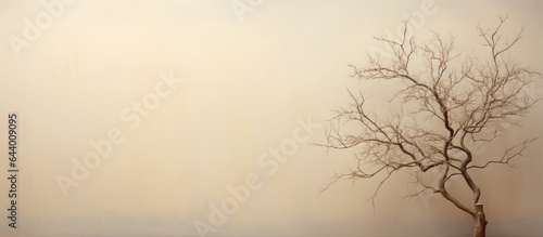 Leafless poplar tree Isolated isolated pastel background Copy space © HN Works