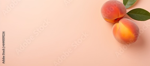 Apricot on isolated pastel background Copy space