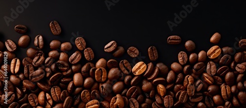 Arabica coffee beans isolated on a isolated pastel background Copy space