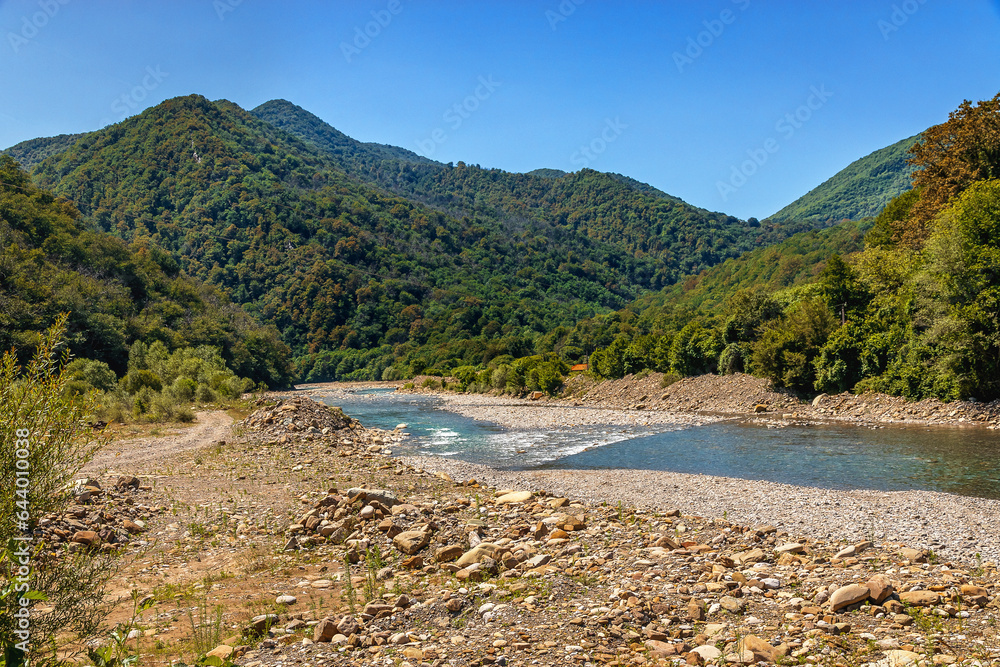 The mountain river flows through a rocky bed. Landscape with mountains, forest and river in the foreground. A mountain river flows near the forest on a sunny day. A river in the mountains.