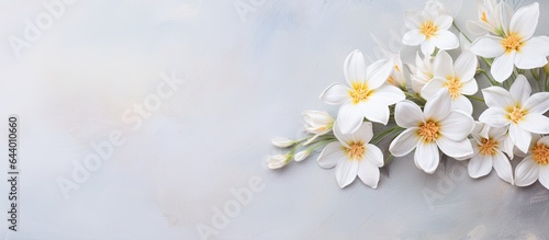 Isolated white flowers on concrete isolated pastel background Copy space
