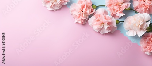 Carnation flower arrangement isolated pastel background Copy space © HN Works